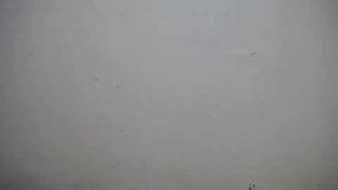 lisa_branch online show from 11-03-25, 10:38