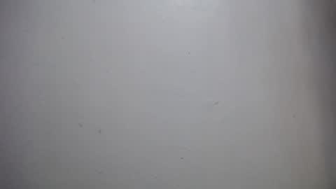 lisa_branch online show from 12-14-25, 11:59