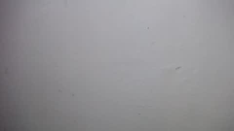 lisa_branch online show from 12-18-25, 10:54