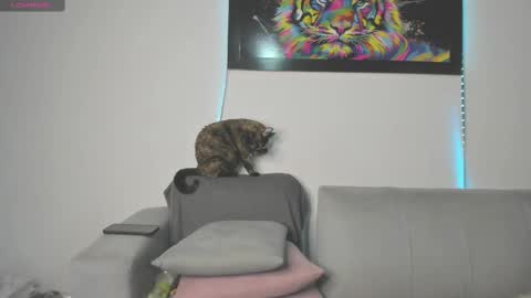 Snapshot of little_caro13 chatting on 03-11-25, 09:26 Independent model carolina online show from 03-11-25, 09:26