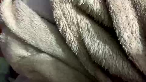 Snapshot of little_sissy_wendy chatting on 02-28-25, 09:33 little_sissy_wendy online show from 02-28-25, 09:33