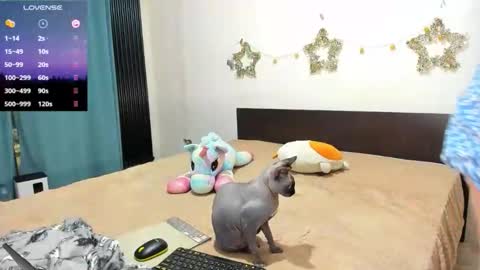 Kat online show from 02-21-26, 11:17