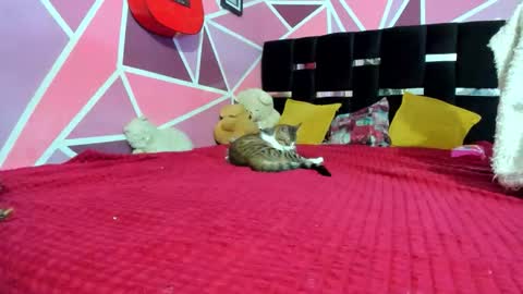          --- Onlyfans Free --  online show from 12-20-25, 03:02