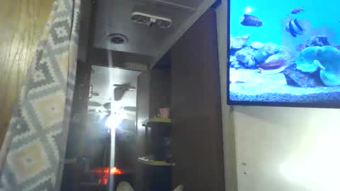 littlegrey376 online show from 03-02-26, 05:08