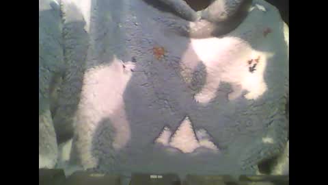 Snapshot of littlepaul2 chatting on 02-14-25, 09:10 LittlePaul online show from 02-14-25, 09:10
