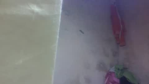 yanah online show from 09-11-25, 11:21