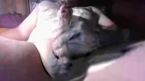 litwinpaweel online show from 12-02-25, 08:26