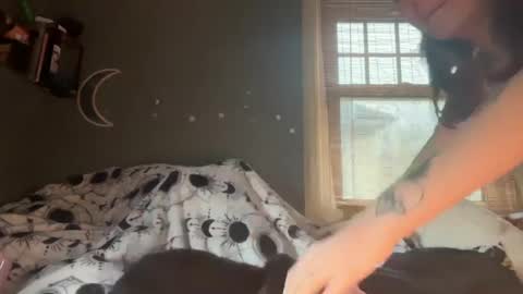 Snapshot of lizzyylovesick chatting on 02-03-25, 02:02 lizzybunny online show from 02-03-25, 02:02