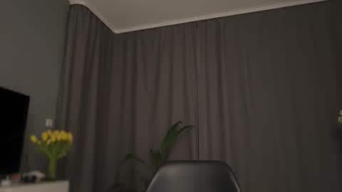 Lolla online show from 03-14-26, 01:44