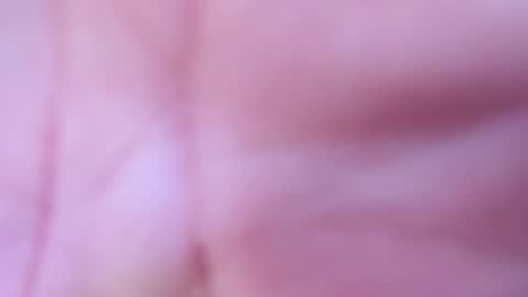 logan online show from 04-15-26, 12:12