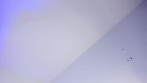 Logan online show from 10-16-25, 08:04