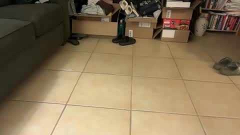 logical12345 online show from 01-19-26, 06:39