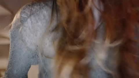 Snapshot of lola_dinky chatting on 05-14-26, 08:26 Lola online show from 05-14-26, 08:26