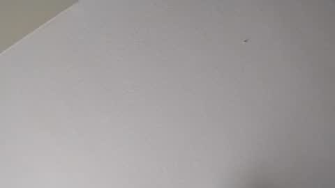 Mr. FogoDeChao online show from 01-16-26, 11:09