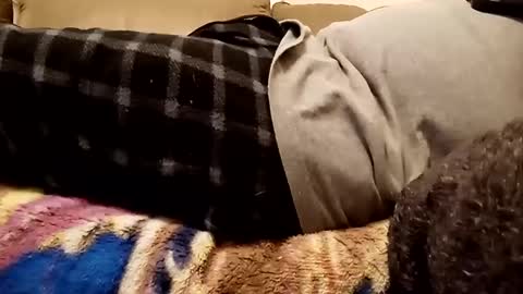 looking4bush online show from 12-01-24, 10:43