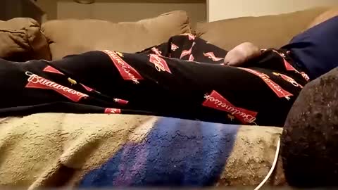 looking4bush online show from 10-11-25, 03:28