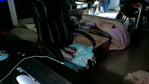 Snapshot of loov2watch chatting on 06-02-26, 04:09 Mato online show from 06-02-26, 04:09