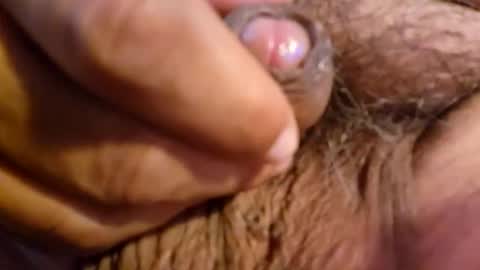 2791 3D online show from 03-05-26, 05:47