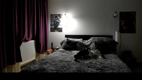 Lora online show from 01-08-25, 06:41