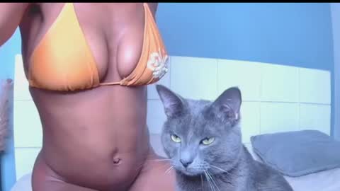 Blackcat online show from 03-30-26, 12:00