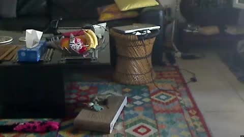 Snapshot of lordjim75 chatting on 06-18-26, 03:49 Lord Jim online show from 06-18-26, 03:49