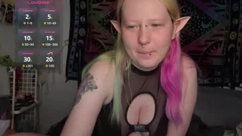 Lori Critter online show from 05-13-26, 10:34
