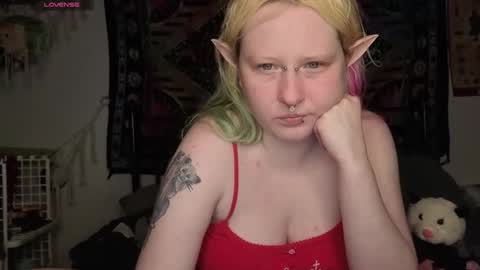 Lori Critter online show from 05-16-26, 12:29