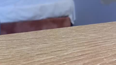  Lou Rosse  online show from 01-22-25, 08:49