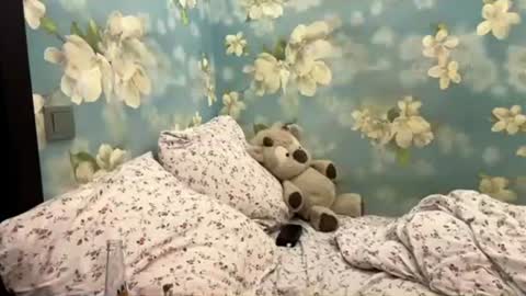 Sasha online show from 07-18-26, 07:28