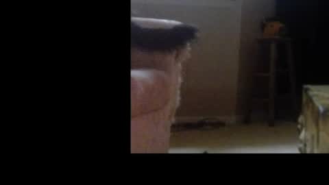 Snapshot of love69bush chatting on 02-04-26, 06:30 love69bush online show from 02-04-26, 06:30