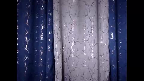 Riva online show from 11-30-25, 12:20