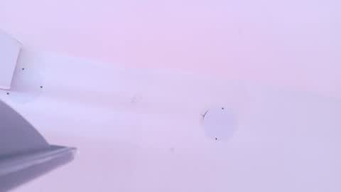 L O V E  online show from 03-13-26, 11:39