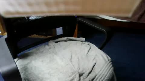 lovetolick272988 online show from 10-21-25, 02:34