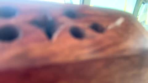 Snapshot of loveyourkittty chatting on 03-12-25, 10:17 StacyMaeWish online show from 03-12-25, 10:17