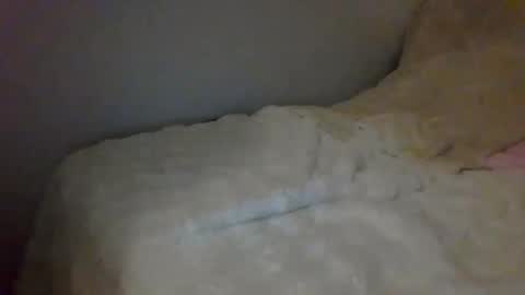 Snapshot of lucany__ chatting on 12-26-24, 08:21 Luca online show from 12-26-24, 08:21