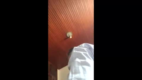 Snapshot of lucasgody chatting on 01-16-26, 04:55 lucas online show from 01-16-26, 04:55