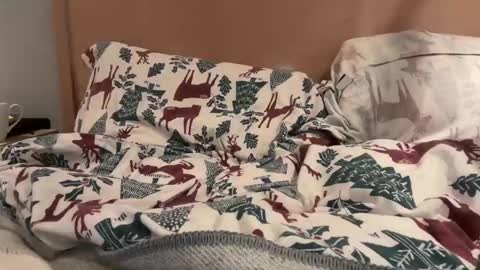 Snapshot of lucca_d123 chatting on 09-22-25, 07:21 lucca_d123 online show from 09-22-25, 07:21