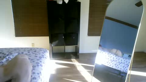 luchamuscles online show from 12-05-24, 10:01