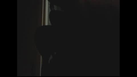 Snapshot of luchilove69 chatting on 12-29-24, 01:34 Luchi Luchano online show from 12-29-24, 01:34