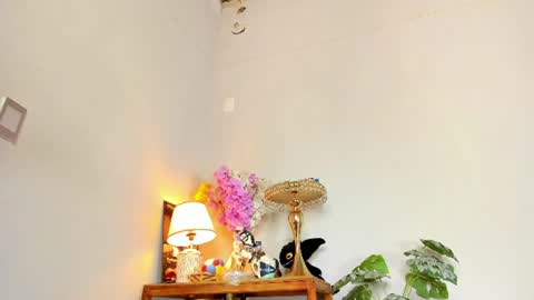 Snapshot of lucian_davii chatting on 07-06-26, 03:03 Pirulo online show from 07-06-26, 03:03