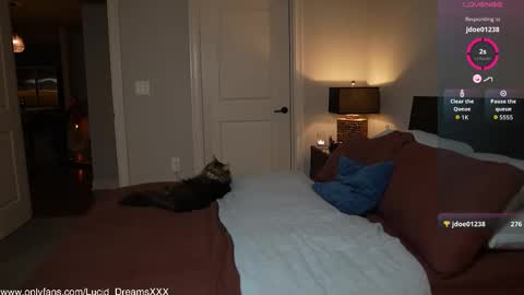 Snapshot of lucid_dreamsxxx chatting on 10-15-25, 12:00 Lucid Lu online show from 10-15-25, 12:00