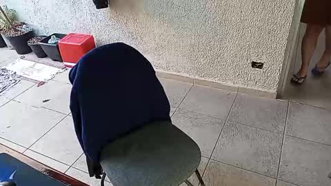 lucifer_curious online show from 10-24-25, 09:49