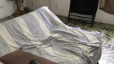 lucifer_curious online show from 11-08-25, 04:18