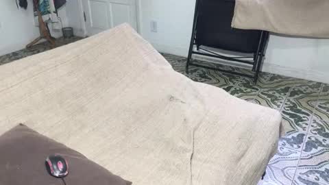 lucifer_curious online show from 01-05-26, 08:45