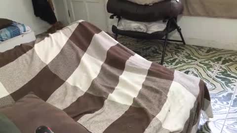 lucifer_curious online show from 03-28-26, 04:39