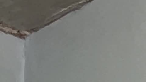 Lucien online show from 09-17-25, 02:57