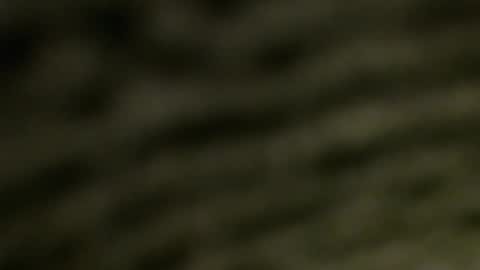 lucretiasissygothic online show from 11-25-25, 05:07