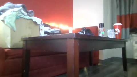 Lucy Loves Lookers online show from 01-15-25, 12:04