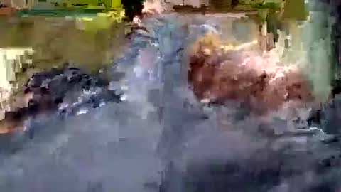 Snapshot of luis_hunk chatting on 10-22-25, 10:59 Andrew online show from 10-22-25, 10:59