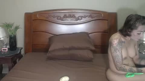 lulu_wild online show from 11-05-25, 08:36